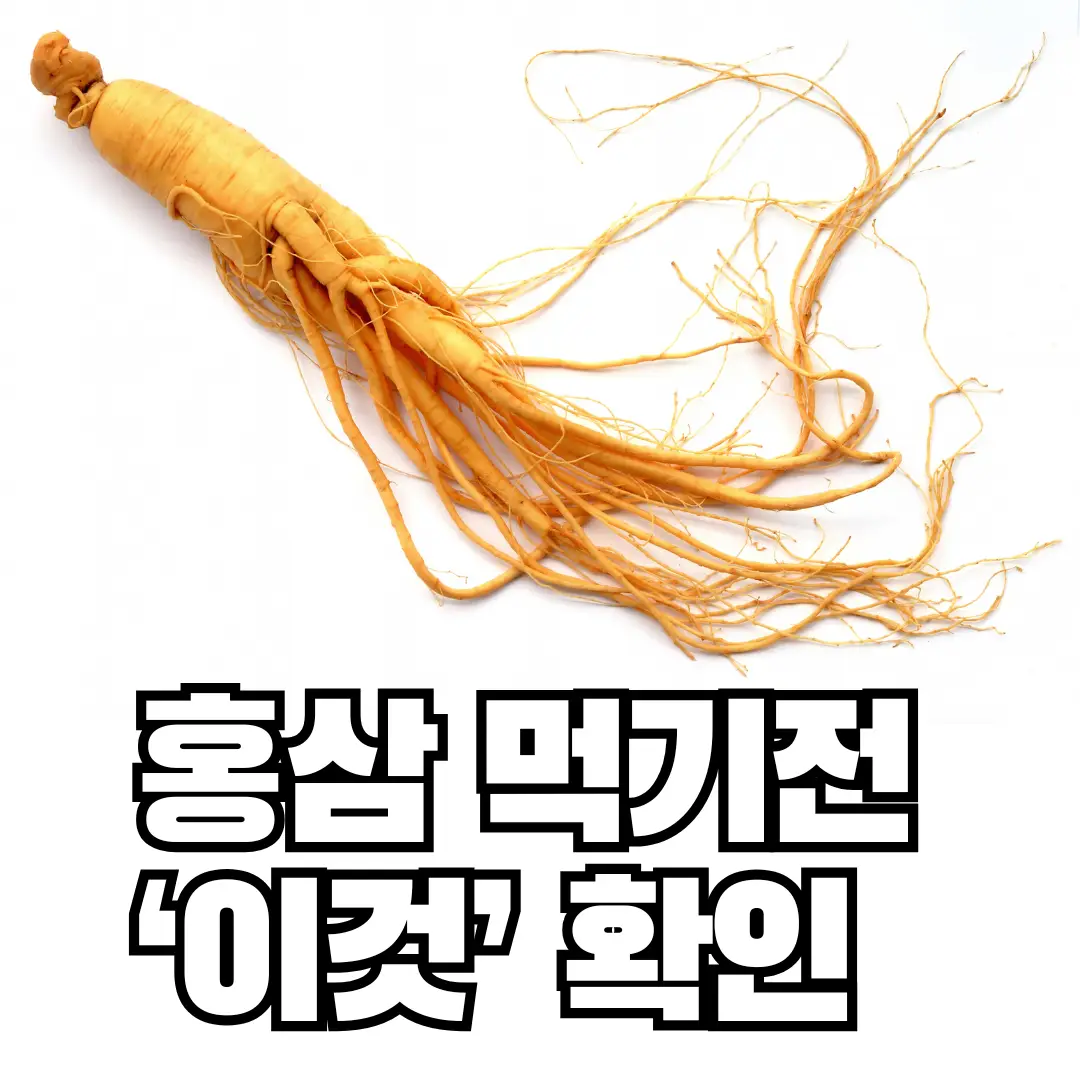 홍삼효능-홍삼칼로리