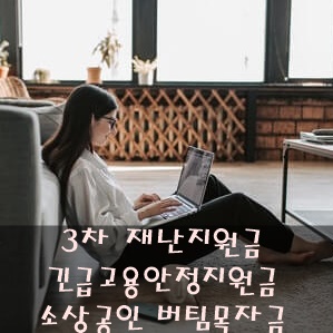 긴급고용안정지원금