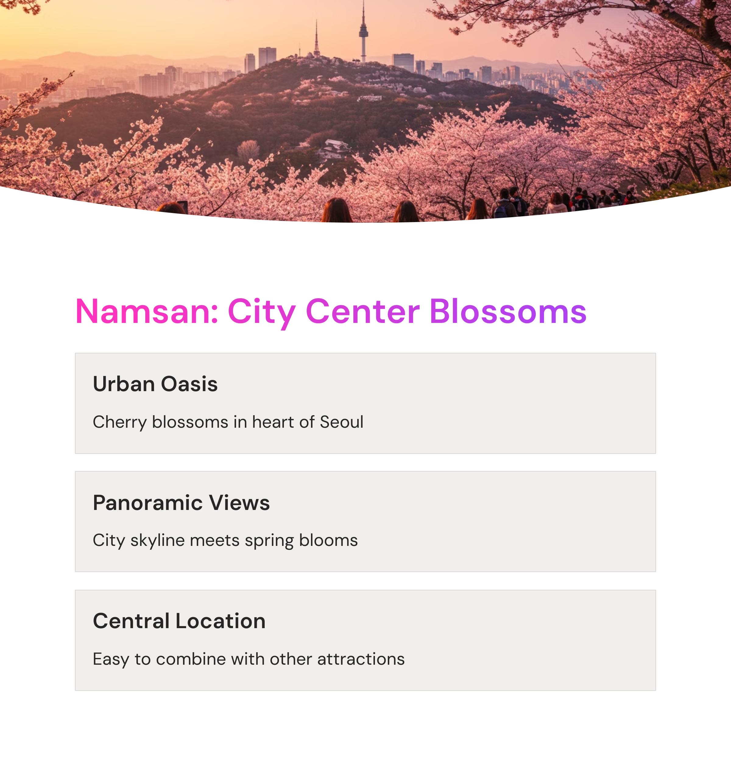 2025 Seoul Cherry Blossom Top 10 Complete Guide - From Instagram Hotspots to Hidden Gems