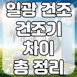 일광 건조와 건조기 건조의 차이 총 정리