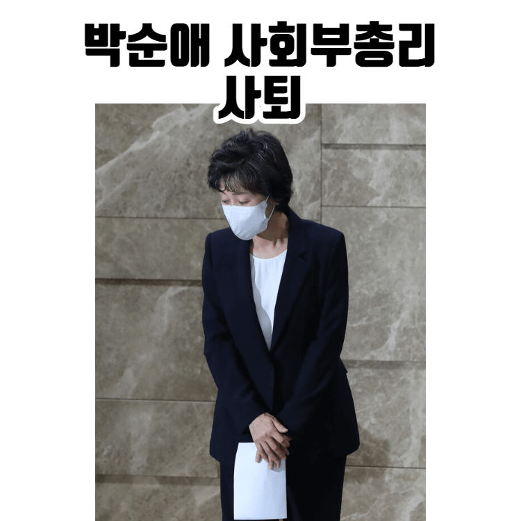 박순애 사회부총리 사퇴