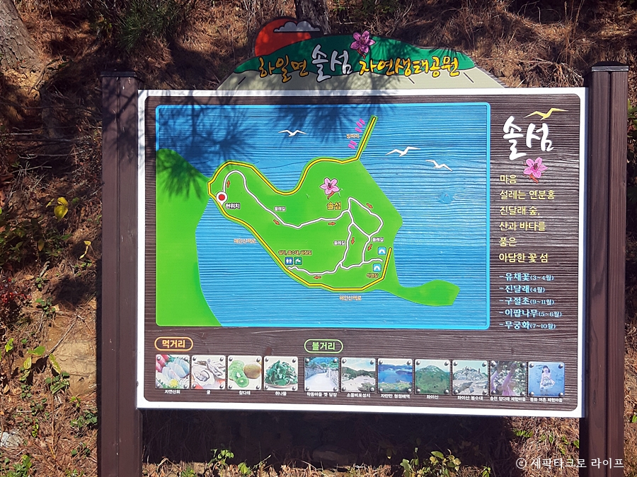 경남고성솔섬