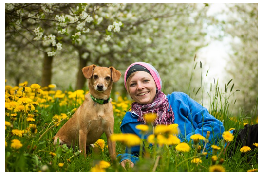 이슬람권에서 개를 기르면 안 되는 이유 - 종교적 신념과 문화적 인식