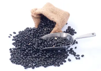 검은콩 효능 및 영양소, 가격