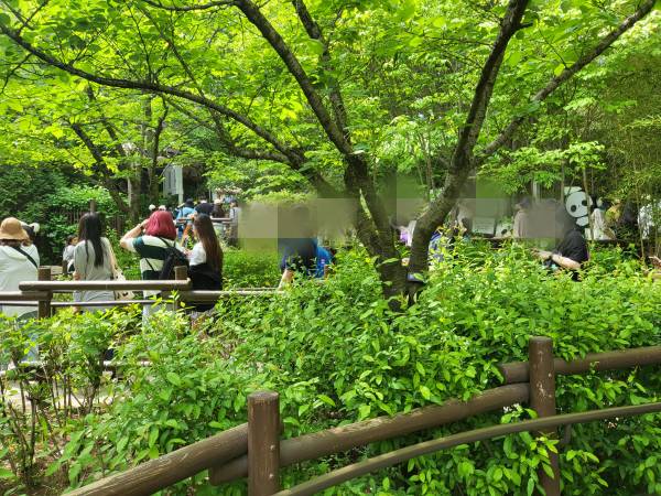 판다월드-앞-웨이팅