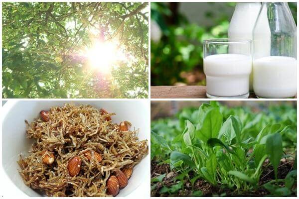 골다공증에 좋은 음식