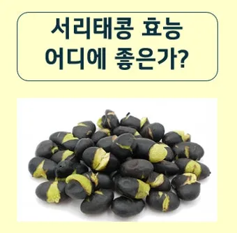 서리태 효능 콩물 만드는방법 수확시기 서리태콩 정보_14