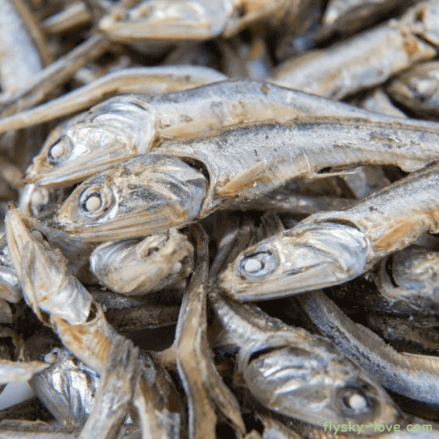 칼슘이 풍부한 멸치의 특징