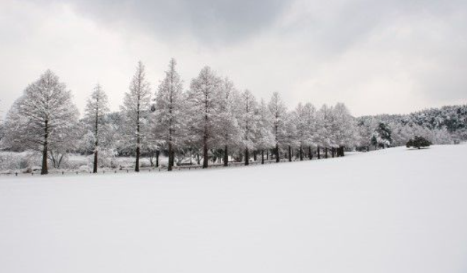 1월 충청북도 가볼만한곳 여행지 추천 ❘ 신년 새해 국내 겨울 나들이 ❘ 충청도 명소 ❘ 가족 실내 데이트