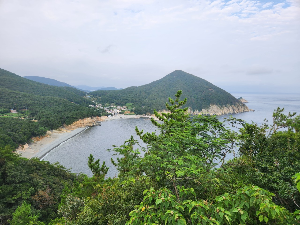 통영 가볼만한 곳 동피랑 벽화마을