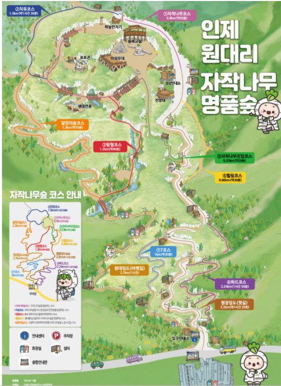 인제 자작나무숲 단풍