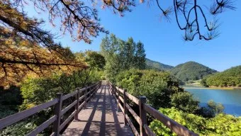 옥천 가볼만한곳 베스트10 현지인 추천 필수코스_17