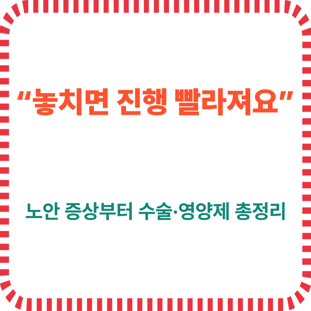 "놓치면 진행 빨라져요" 노안 증상부터 수술,영양제 총정리