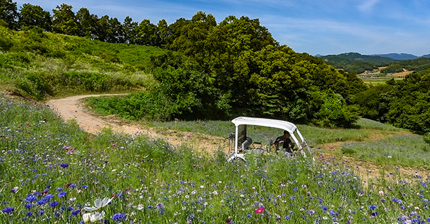 생생정보 마리오카트 눈썰매장 사랑이뭐길래 임진강 연천 알멕스랜드 정보