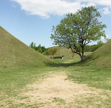 가을에 꼭 가봐야할 경주여행 BEST 5