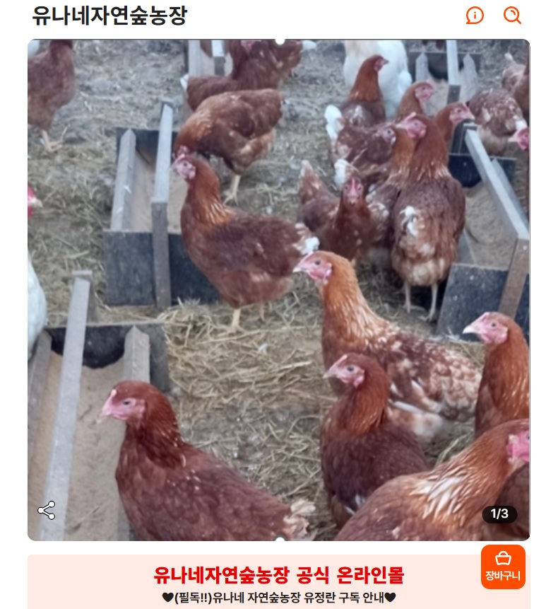 6시내고향-연천-계란-유나네농장