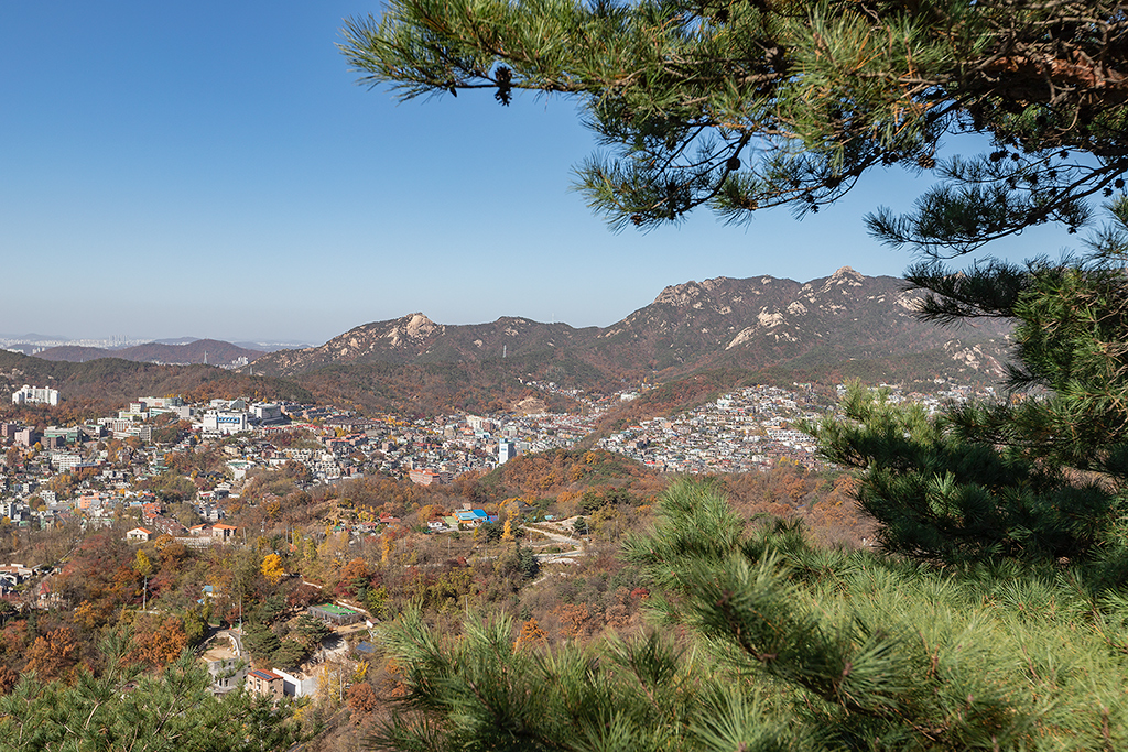 한양도성길
백악코스
서울여행
서울단풍
백악산
북악산
가을단풍
한양도성