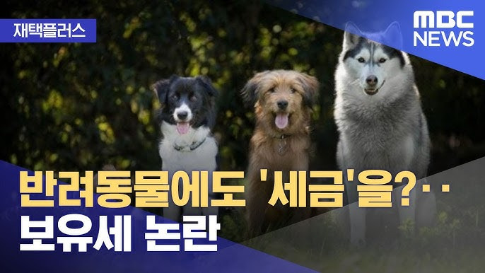 반려동물 보유세 검토