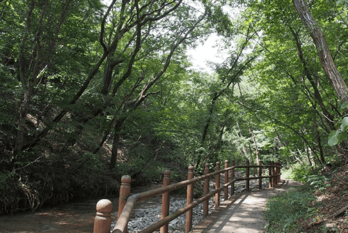 신선봉16