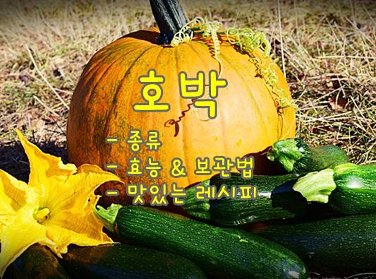 호박-여러개