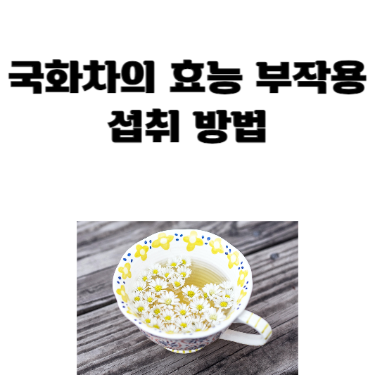 국화차의 효능, 부작용 및 섭취 방법