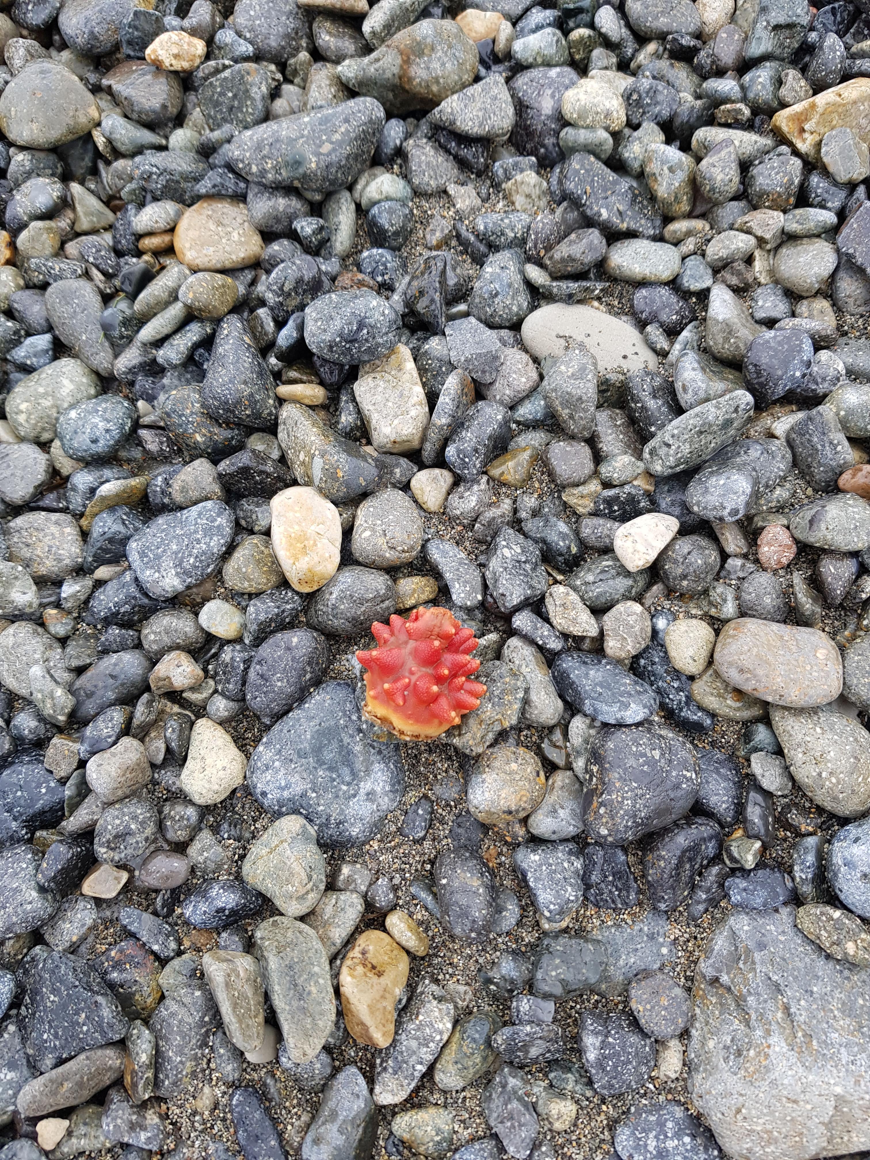 무인도 섬 매매 토지 투자하는 방법과 가능성