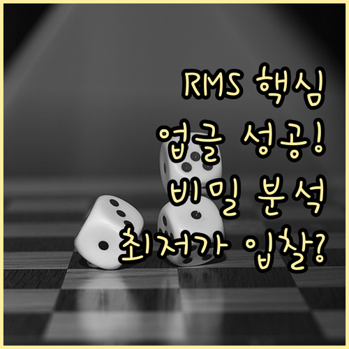 항공사 RMS 기반 업그레이드 입찰의..