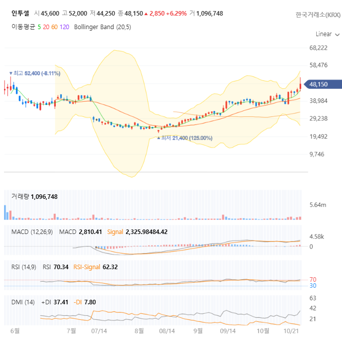 인투셀 일봉 차트 자세히