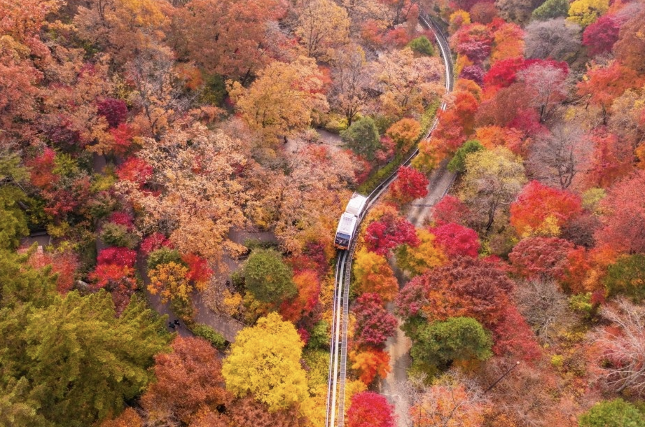 화담숲 단풍속 모노레일 이미지