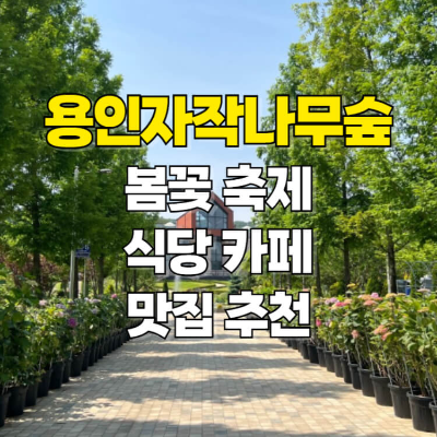 용인자작나무숲 식당 맛집 카페 봄꽃축제 썸네일