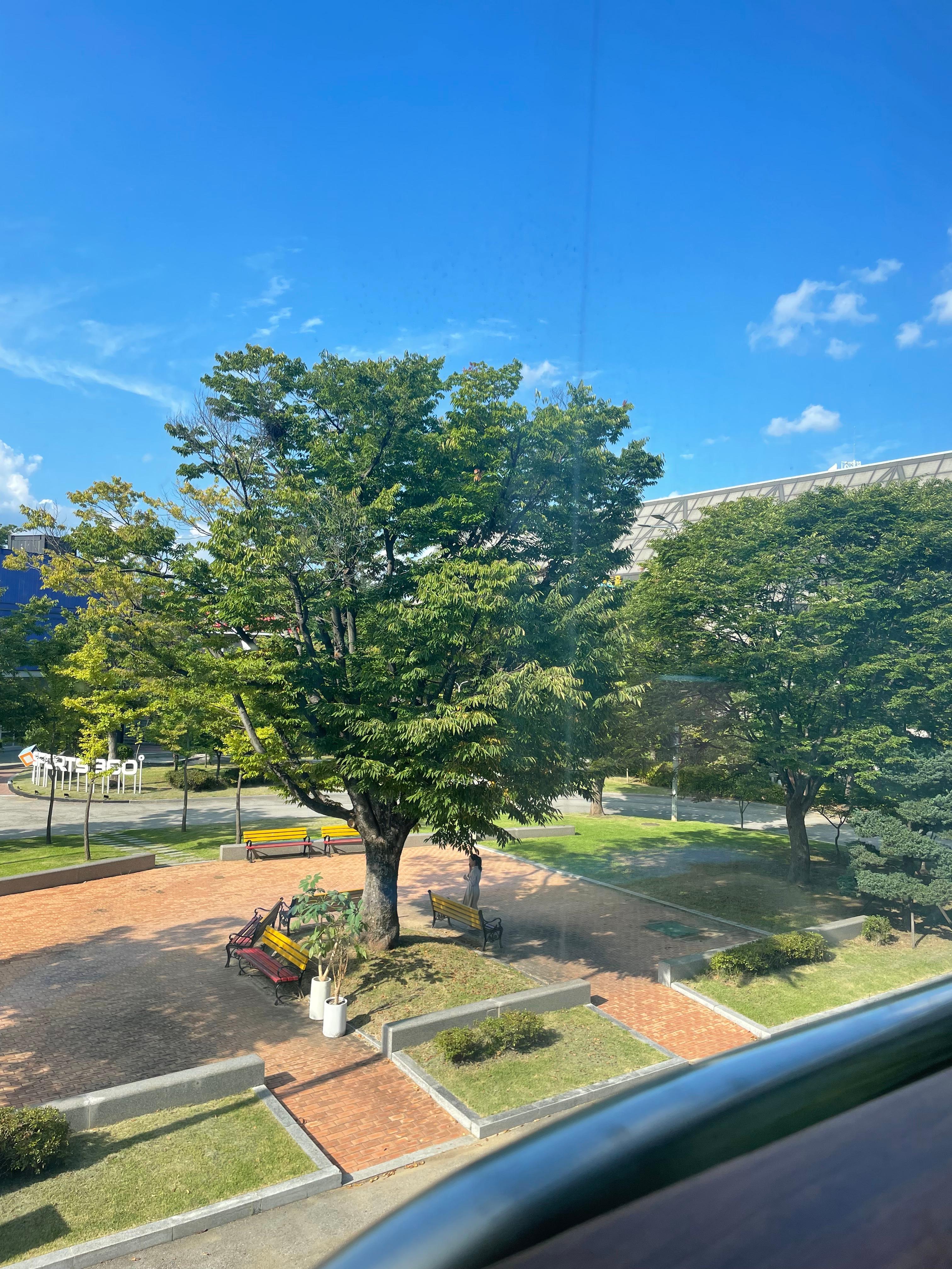 산책 루틴을 단순하게 할수록 좋다.