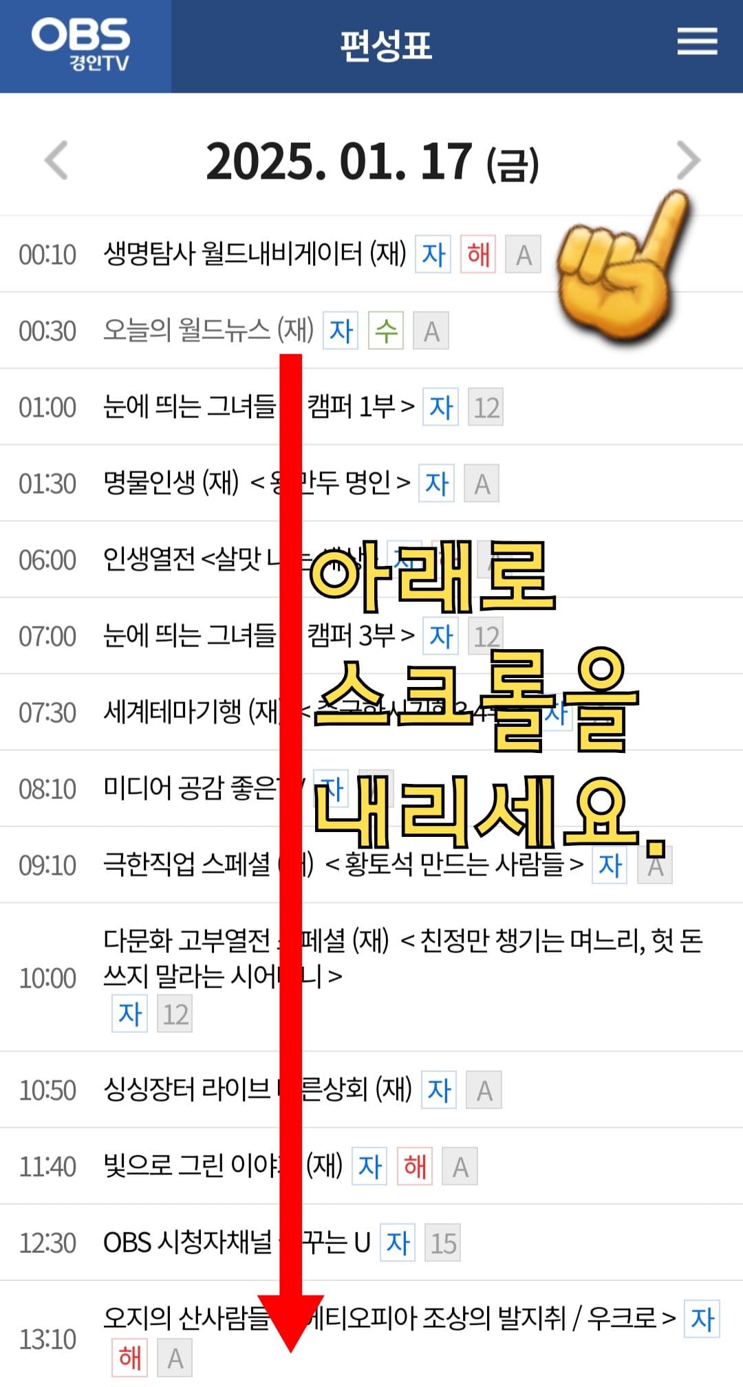 OBS-편성표-및-채널번호-확인-방법-안내-편성표-페이지에서는-아래로-스크롤을-내리면-오늘-하루의-프로그램명과-편성-시간을-알-수-있습니다.-그리고-오늘의-방송-일정뿐만-아니라-내일,- 모레,-그리고-그-이후의-방송-일정도-확인할-수-있는데요.-만일,-다른-날짜의-방송-일정을-확인하고-싶다면-날짜가-나와있는-양옆의-화살표를-클릭해-원하는-날짜를-선택할-수-있습니다.