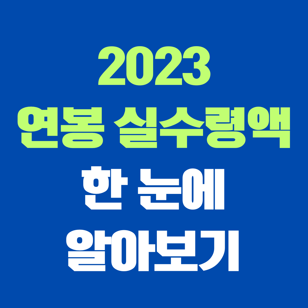 2023 연봉 실수령액 계산기