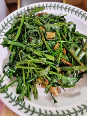 모닝글로리 쇼핑몰 다이어리 달력 수척 필통 추천_21