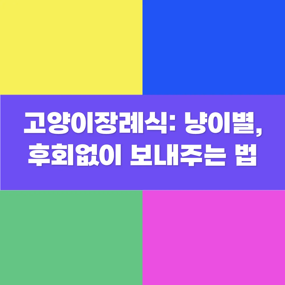 썸네일 이미지