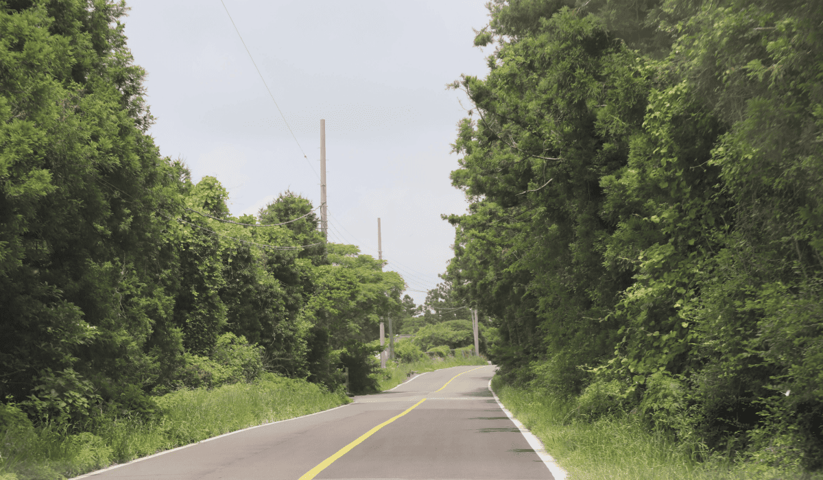 제주_렌트카_비교사이트_8