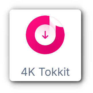 TikTok 동영상 다운로더 프로그램