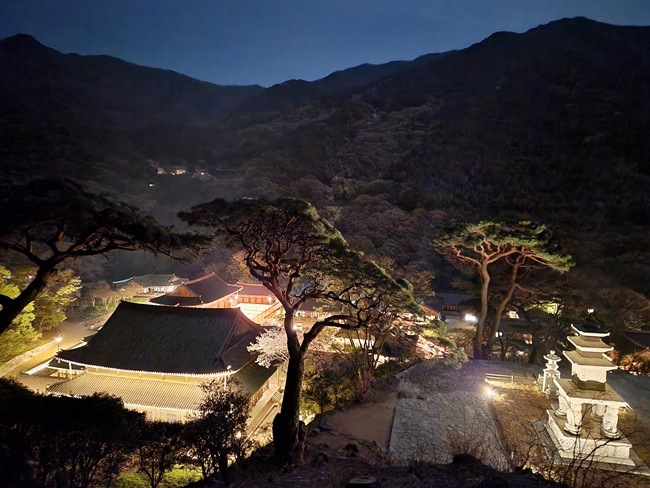 화엄사 야간 이미지 사진 3