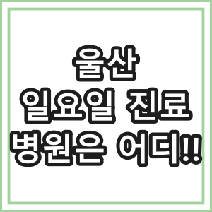 울산 일요일 진료 병원 찾는 방법