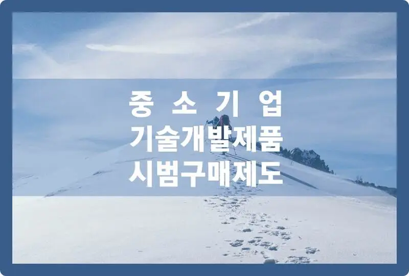 중소기업 기술개발제품 시범구매제도