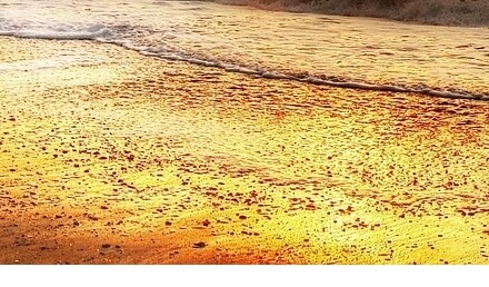 근로자휴가지원