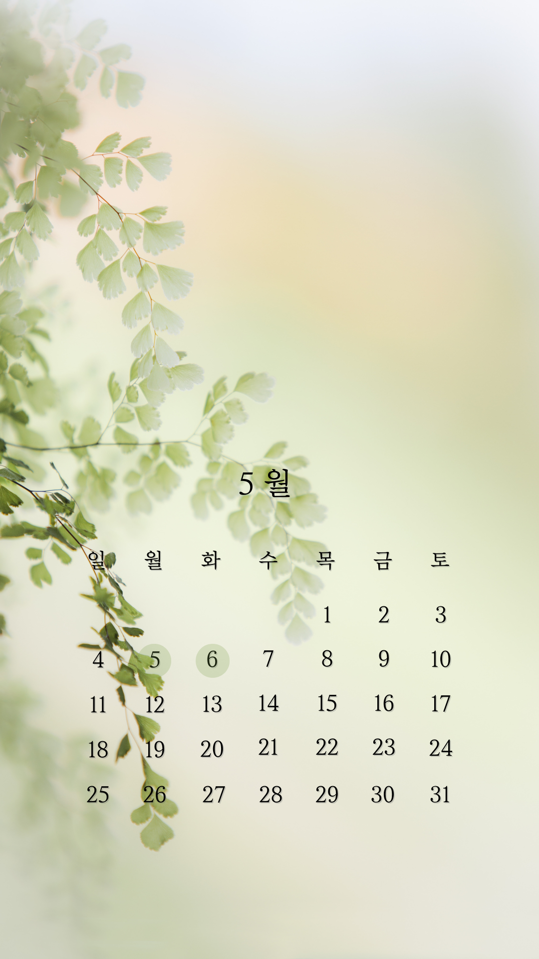 2025년 5월 달력 스마트폰 배경화면 이미지 그림 사진 모음