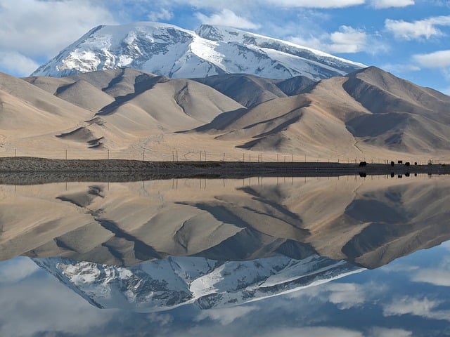 나이아신아마이드 사용 설명