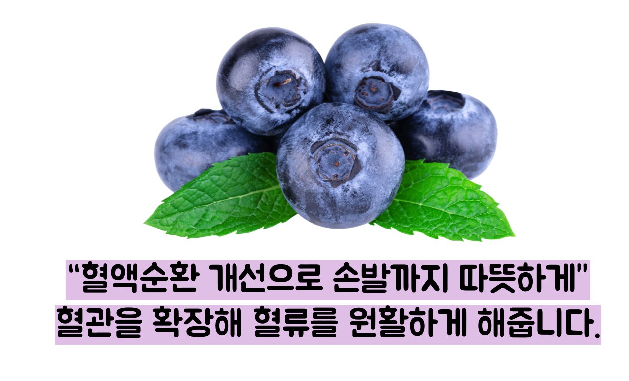 블루베리 효능