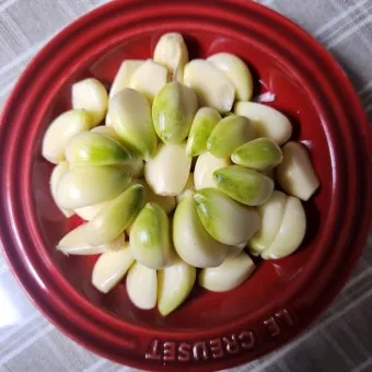 홍산마늘 효능 수확시기 재배법 주아 정리 정보_4
