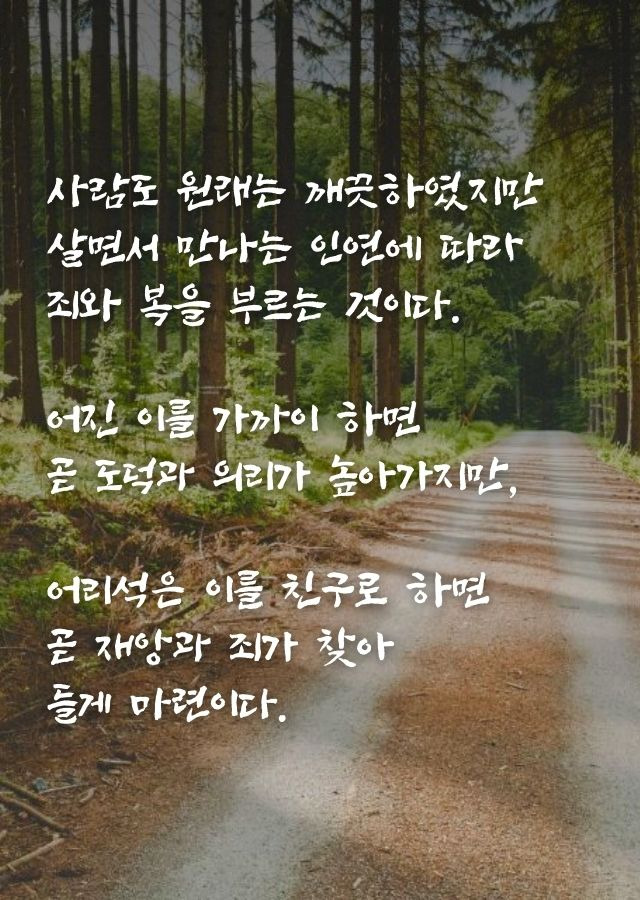 숲속 길 위 명언과 함께 자연 속을 걷는 평온한 분위기의 이미지