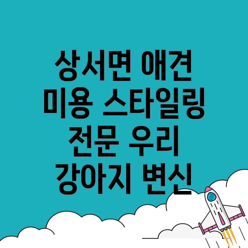 애견미용