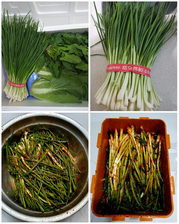 싱싱한-쪽파가-왔어요.