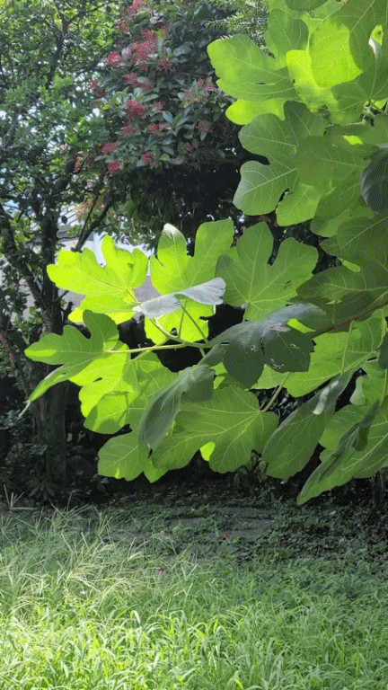 제주-카페패스-구좌-월정리-감성카페-너는파라다이스길리