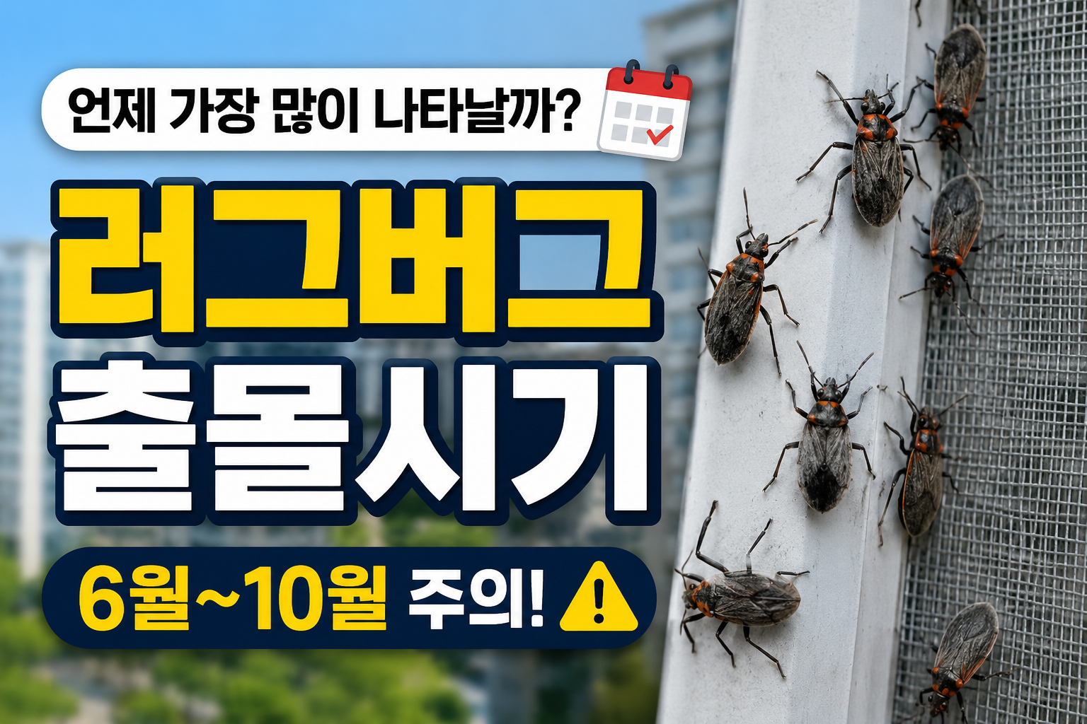 러그버그 출몰시기 총정리｜6월부터 갑자기 많아지는 이유